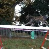foire-haricots 2011-09-17et18